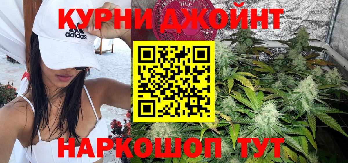 Канабис сатива Мценск